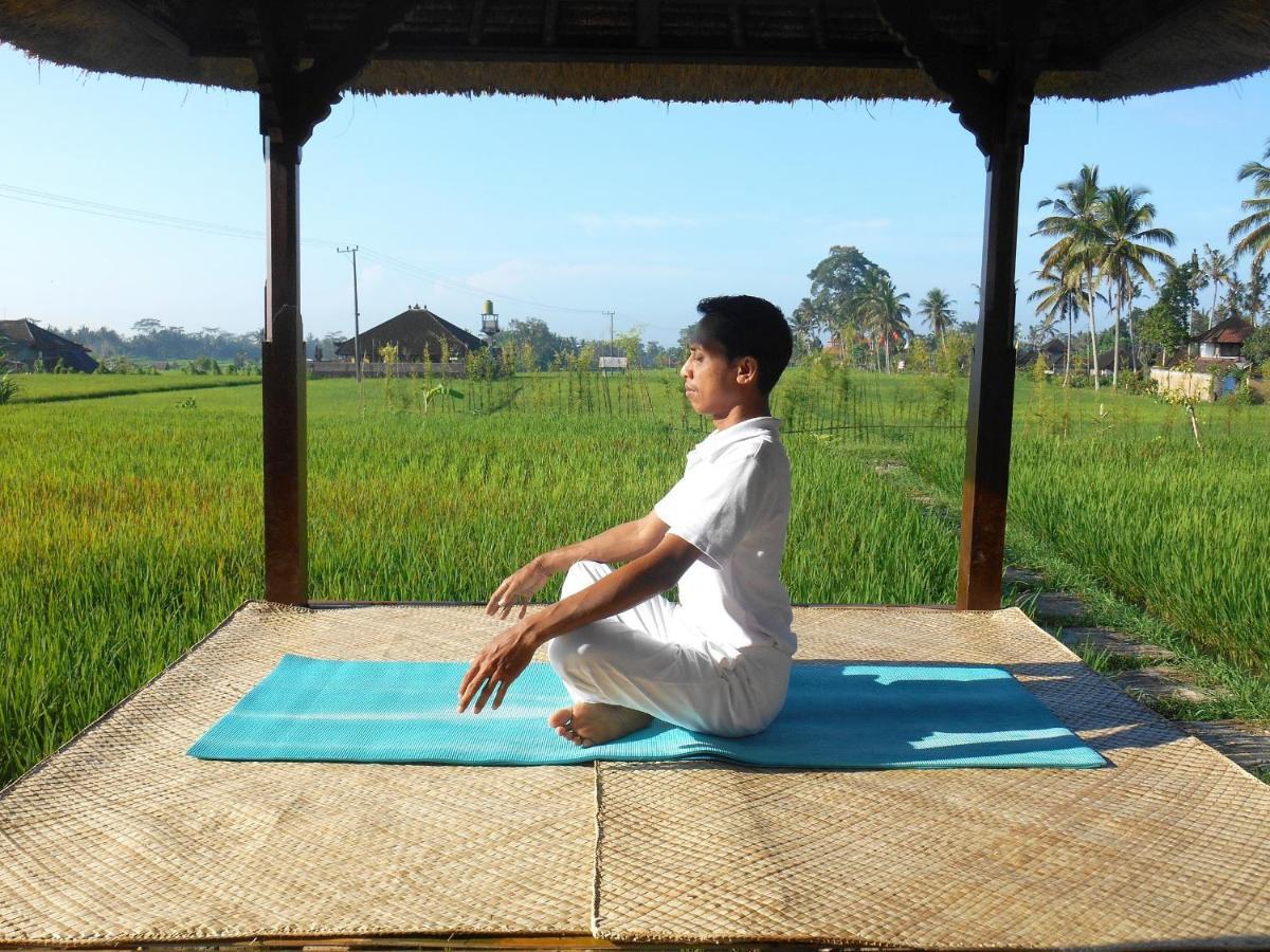 Alam Puisi Ubud (Bali)